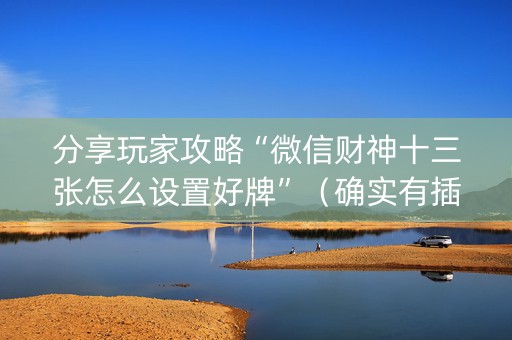 分享玩家攻略“微信财神十三张怎么设置好牌”（确实有插件吗)
