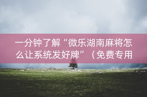一分钟了解“微乐湖南麻将怎么让系统发好牌”（免费专用神器)