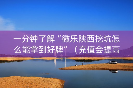 一分钟了解“微乐陕西挖坑怎么能拿到好牌”（充值会提高胜率么)