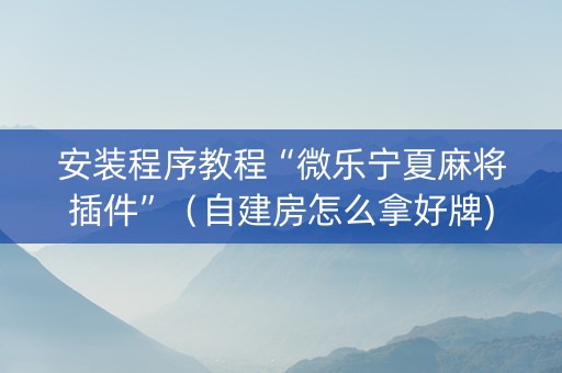 安装程序教程“微乐宁夏麻将插件”（自建房怎么拿好牌)