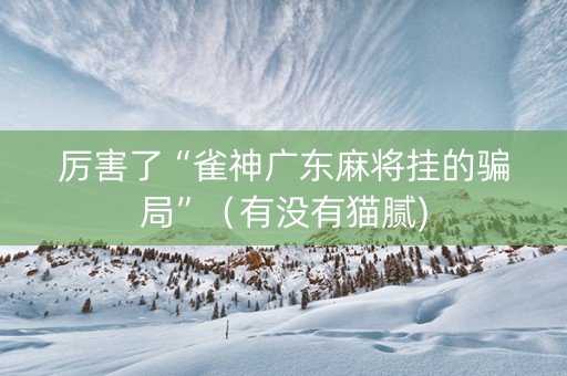厉害了“雀神广东麻将挂的骗局”（有没有猫腻)
