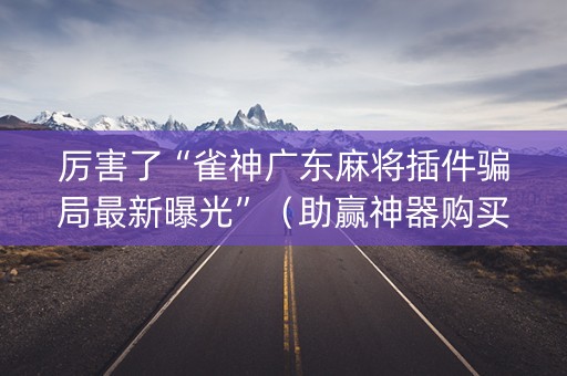 厉害了“雀神广东麻将插件骗局最新曝光”（助赢神器购买)