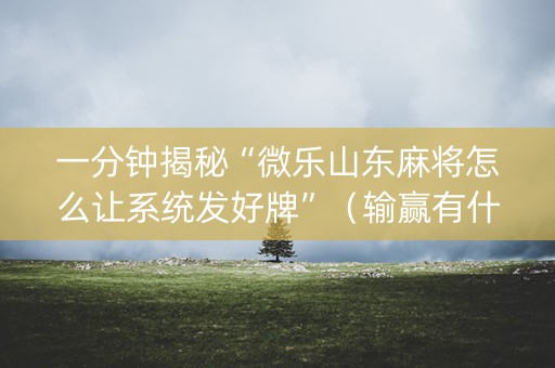 一分钟揭秘“微乐山东麻将怎么让系统发好牌”（输赢有什么规律)