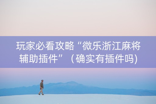 玩家必看攻略“微乐浙江麻将辅助插件”（确实有插件吗)