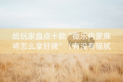 给玩家盘点十款“微乐内蒙麻将怎么拿好牌”（有没有猫腻)