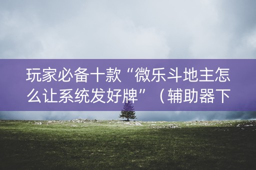 玩家必备十款“微乐斗地主怎么让系统发好牌”（辅助器下载)