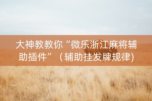 大神教教你“微乐浙江麻将辅助插件”（辅助挂发牌规律)