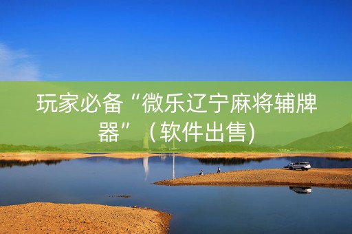 玩家必备“微乐辽宁麻将辅牌器”（软件出售)