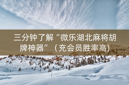 三分钟了解“微乐湖北麻将胡牌神器”（充会员胜率高)