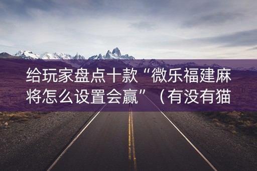 给玩家盘点十款“微乐福建麻将怎么设置会赢”（有没有猫腻)
