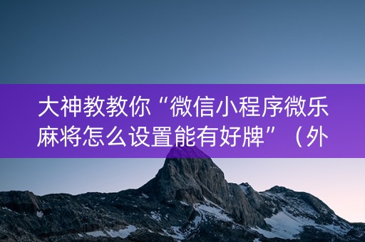 大神教教你“微信小程序微乐麻将怎么设置能有好牌”（外辅工具)