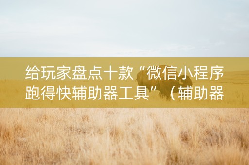 给玩家盘点十款“微信小程序跑得快辅助器工具”（辅助器通用版)