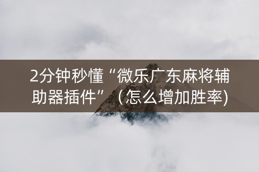 2分钟秒懂“微乐广东麻将辅助器插件”（怎么增加胜率)