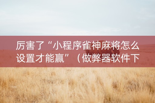 厉害了“小程序雀神麻将怎么设置才能赢”（做弊器软件下载)
