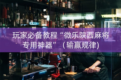 玩家必备教程“微乐陕西麻将专用神器”（输赢规律)