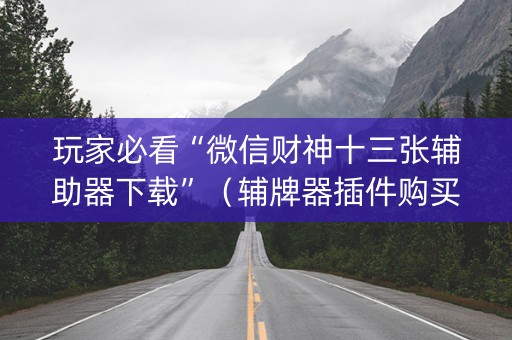 玩家必看“微信财神十三张辅助器下载”（辅牌器插件购买)