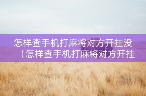 怎样查手机打麻将对方开挂没（怎样查手机打麻将对方开挂没有）