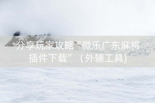 分享玩家攻略“微乐广东麻将插件下载”（外辅工具)