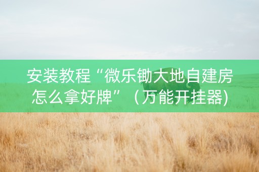安装教程“微乐锄大地自建房怎么拿好牌”（万能开挂器)