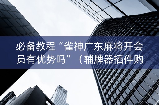 必备教程“雀神广东麻将开会员有优势吗”（辅牌器插件购买)