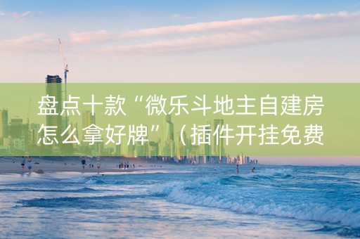 盘点十款“微乐斗地主自建房怎么拿好牌”（插件开挂免费AI)