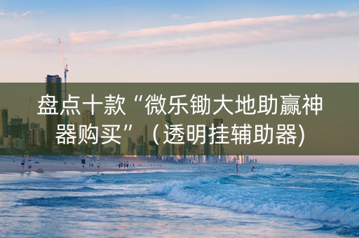 盘点十款“微乐锄大地助赢神器购买”（透明挂辅助器)