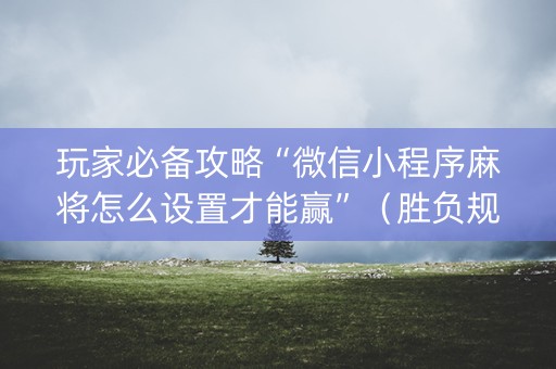 玩家必备攻略“微信小程序麻将怎么设置才能赢”（胜负规律拿好牌)