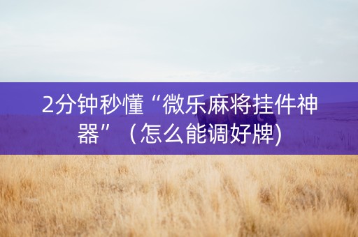 2分钟秒懂“微乐麻将挂件神器”（怎么能调好牌)