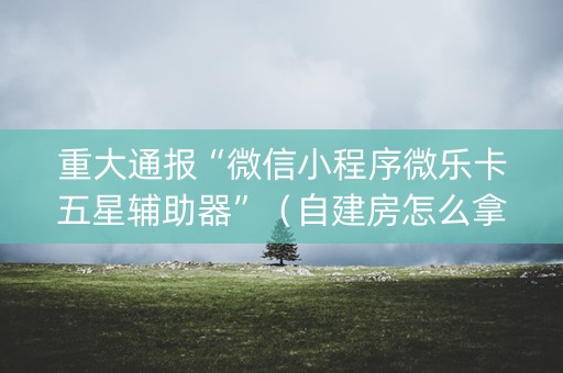 重大通报“微信小程序微乐卡五星辅助器”（自建房怎么拿好牌)