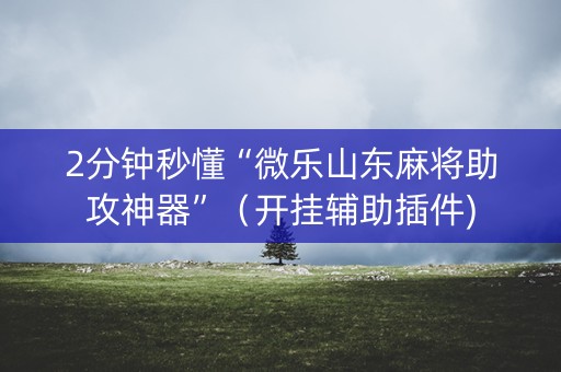 2分钟秒懂“微乐山东麻将助攻神器”（开挂辅助插件)