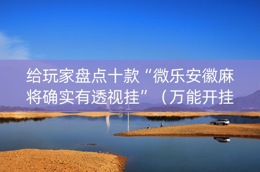 给玩家盘点十款“微乐安徽麻将确实有透视挂”（万能开挂器)