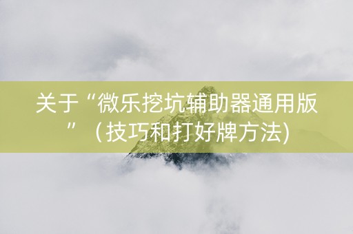 关于“微乐挖坑辅助器通用版”（技巧和打好牌方法)