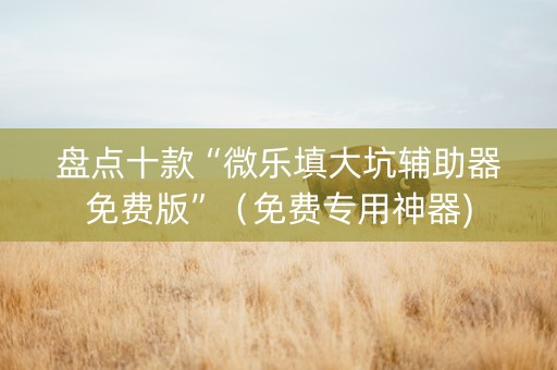 盘点十款“微乐填大坑辅助器免费版”（免费专用神器)