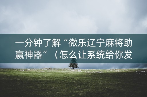 一分钟了解“微乐辽宁麻将助赢神器”（怎么让系统给你发好牌)