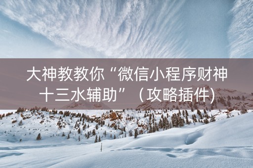 大神教教你“微信小程序财神十三水辅助”（攻略插件)
