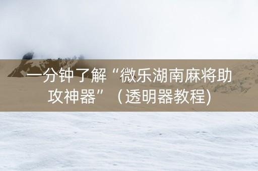 一分钟了解“微乐湖南麻将助攻神器”（透明器教程)