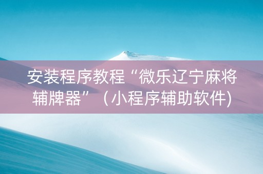 安装程序教程“微乐辽宁麻将辅牌器”（小程序辅助软件)