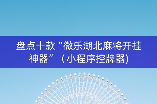 盘点十款“微乐湖北麻将开挂神器”（小程序控牌器)