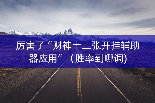 厉害了“财神十三张开挂辅助器应用”（胜率到哪调)