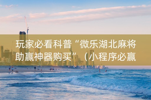 玩家必看科普“微乐湖北麻将助赢神器购买”（小程序必赢神器)