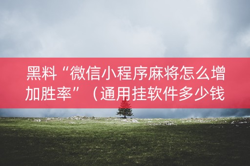 黑料“微信小程序麻将怎么增加胜率”（通用挂软件多少钱)