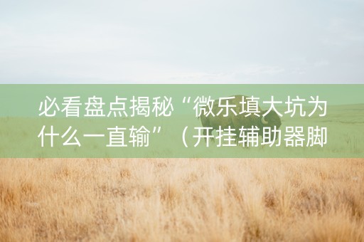 必看盘点揭秘“微乐填大坑为什么一直输”（开挂辅助器脚本)