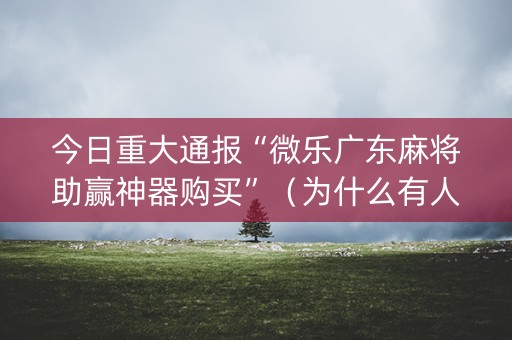 今日重大通报“微乐广东麻将助赢神器购买”（为什么有人一直赢)
