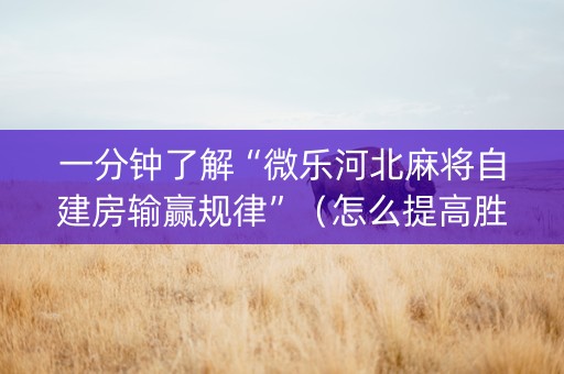一分钟了解“微乐河北麻将自建房输赢规律”（怎么提高胜率)