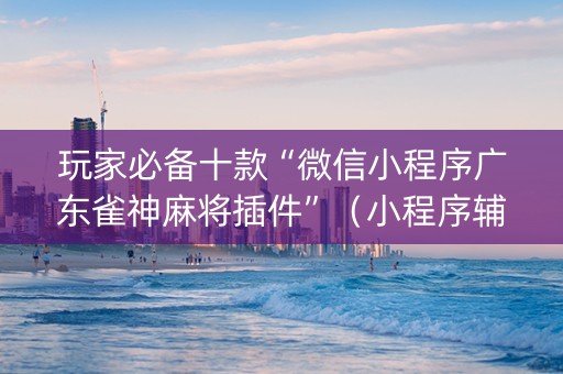 玩家必备十款“微信小程序广东雀神麻将插件”（小程序辅助软件)