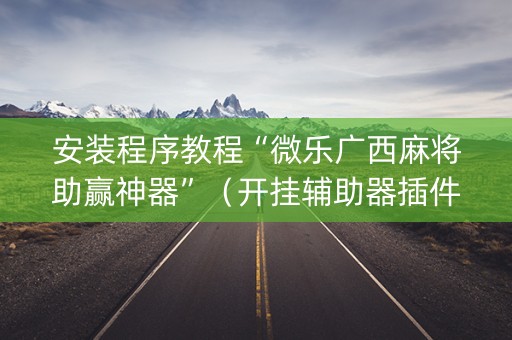 安装程序教程“微乐广西麻将助赢神器”（开挂辅助器插件)
