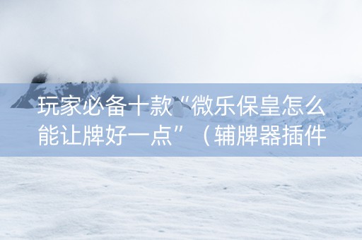 玩家必备十款“微乐保皇怎么能让牌好一点”（辅牌器插件购买)