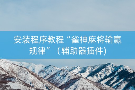 安装程序教程“雀神麻将输赢规律”（辅助器插件)