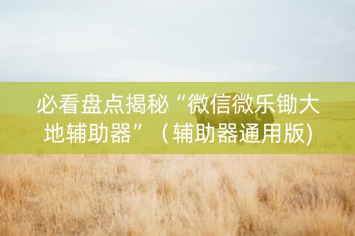 必看盘点揭秘“微信微乐锄大地辅助器”（辅助器通用版)