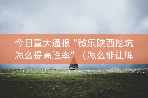 今日重大通报“微乐陕西挖坑怎么提高胜率”（怎么能让牌好一点)